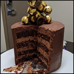 Chocolate Cake with Raspberry Coulis